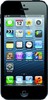 Apple iPhone 5 16GB - Большой Камень